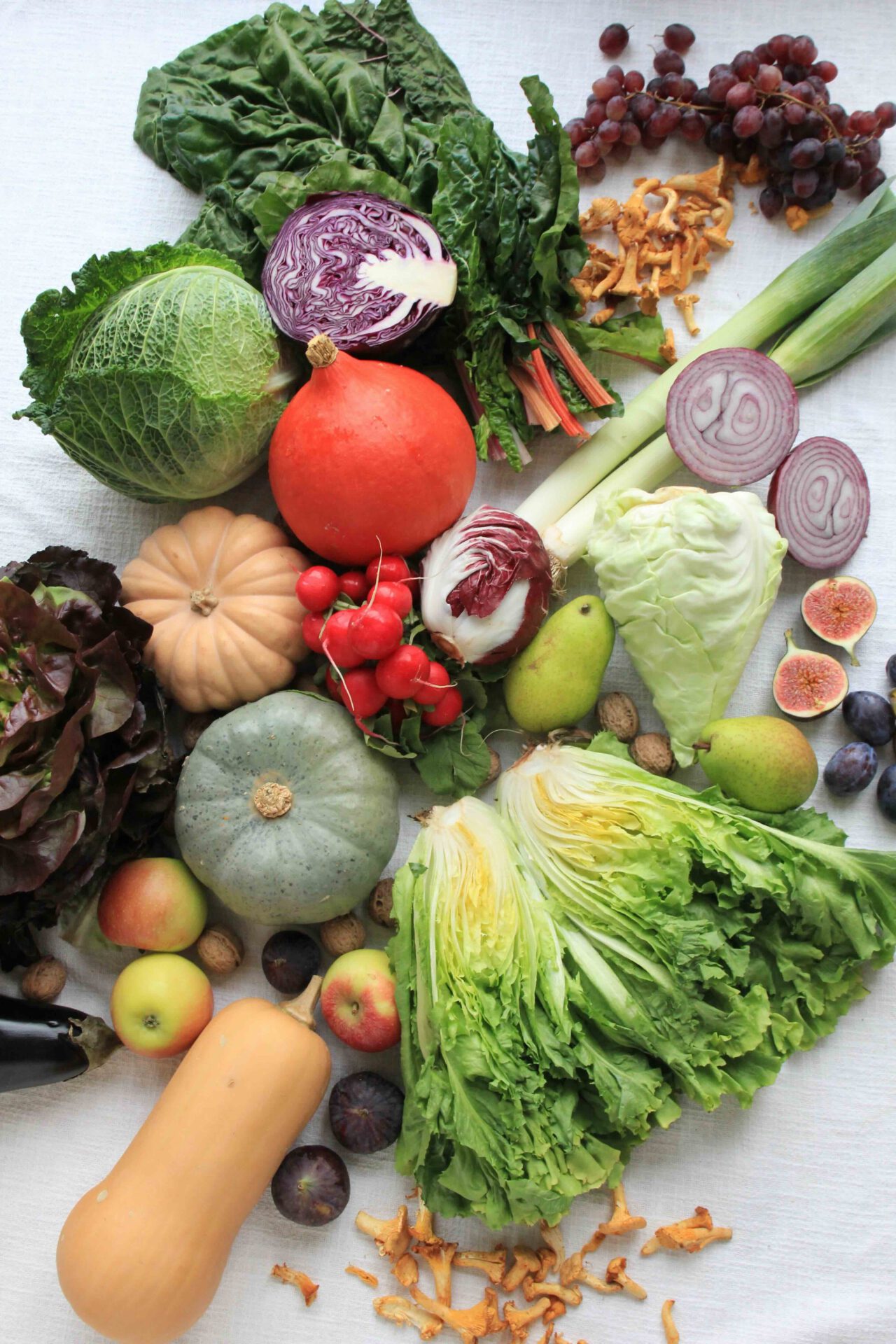 Herbst Uebersichtsbild Gemuese